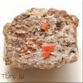 ウルフェナイト モリブデン鉛鉱  母岩付き