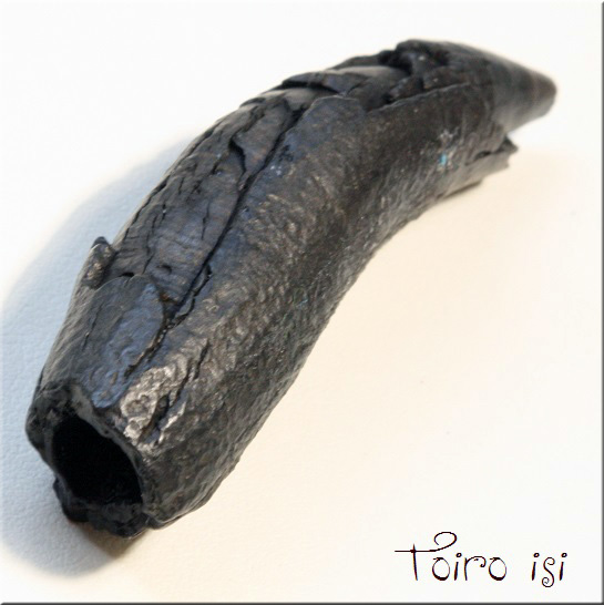 クジラの歯化石 - トイロ石