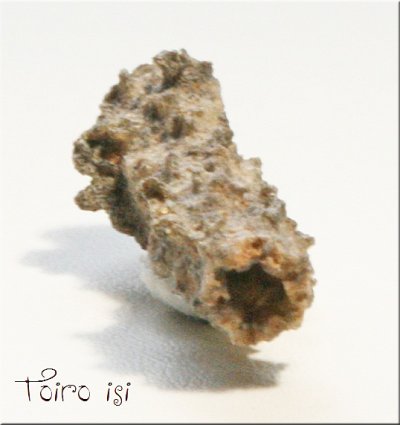 画像1: フルグライト（ 雷管石 ） リビア砂漠産