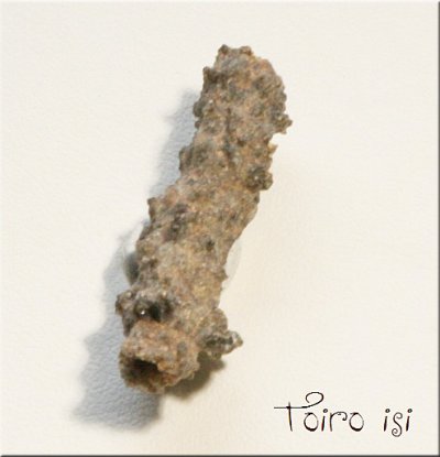 画像2: フルグライト（ 雷管石 ） リビア砂漠産
